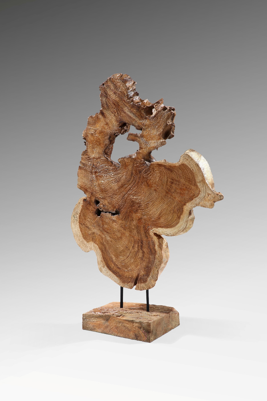 Deko-Skulptur SLICE | Teakholz | ca. 60 cm 